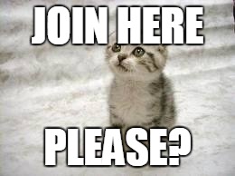 VIP Members, Members, Join Here, Meme, Cat Meme, Join Here, Boutique Threads, Canada